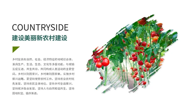 实拍笔刷风格美丽乡村农业介绍新时代农业农村现代化ppt模板