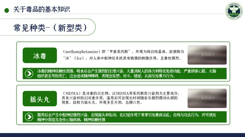 国际禁毒日珍爱生命远离禁毒教育模板