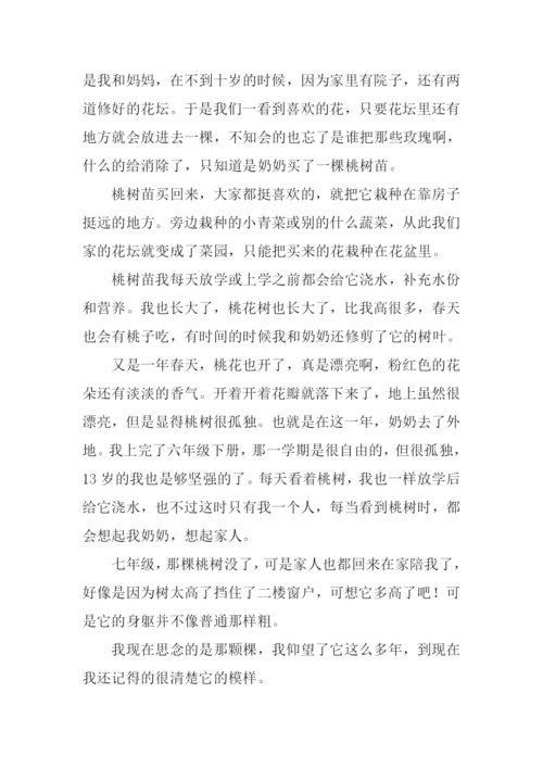 仰望大树作文600字借物抒情.docx