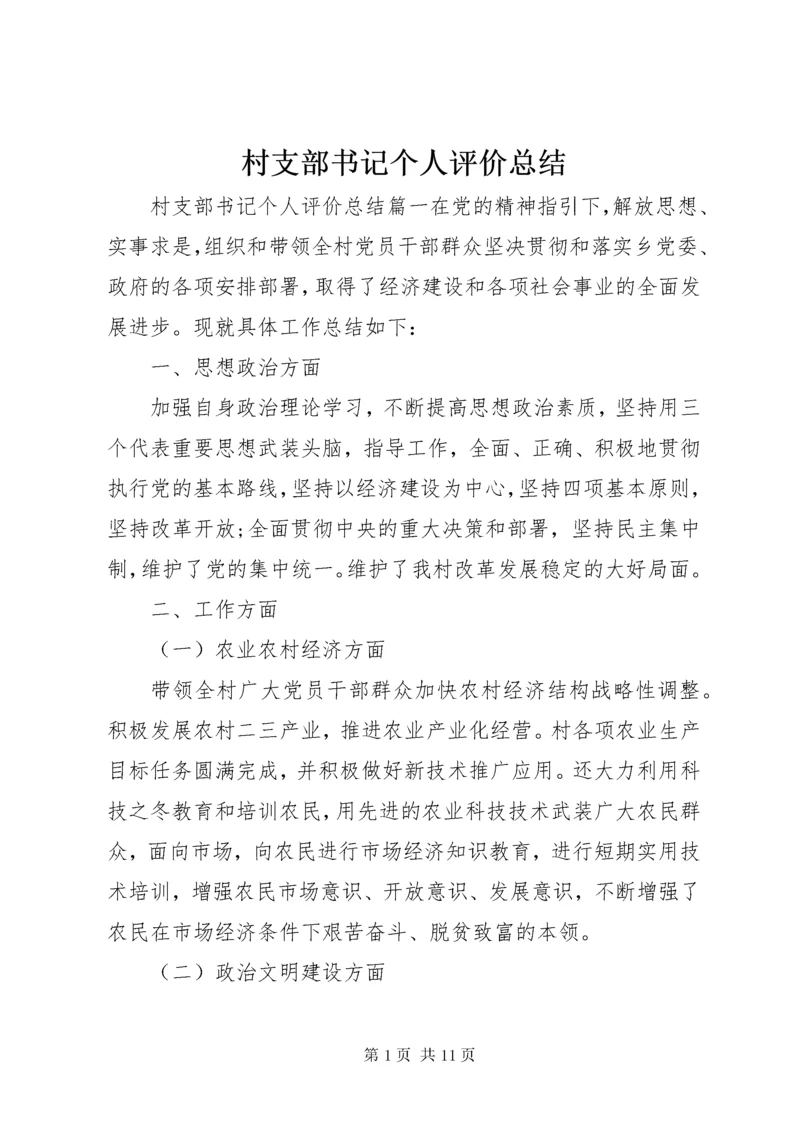 村支部书记个人评价总结.docx