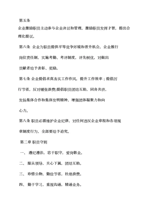 软件公司专项规章新规制度.docx