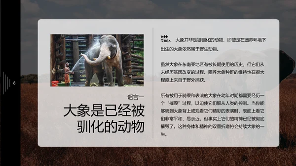 保护野生动物大象PPT模板