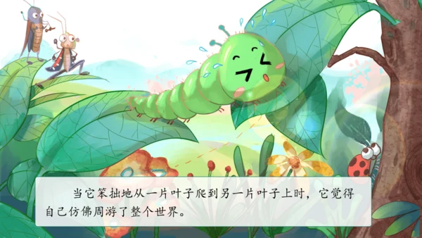 22《小毛虫》课件