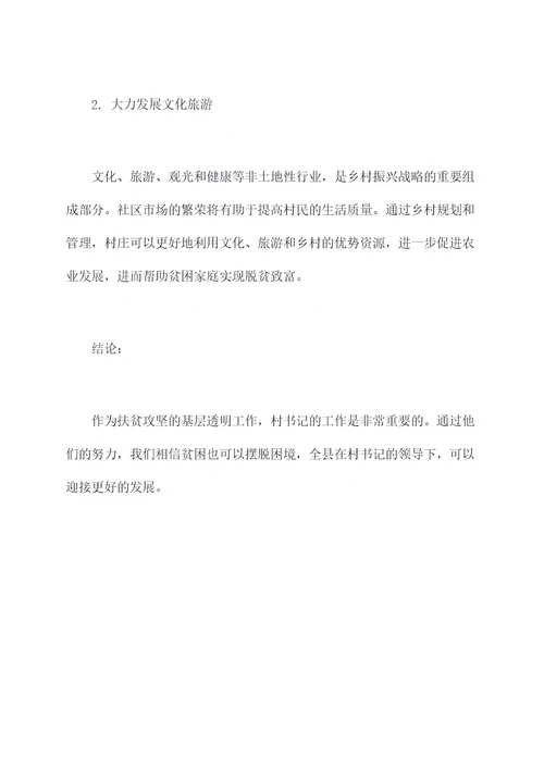 村书记帮扶工作报告