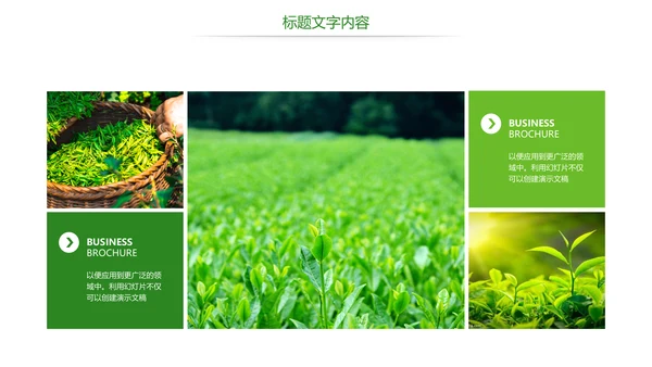 唯美绿色茶园文化茶艺品茶论道PPT模板