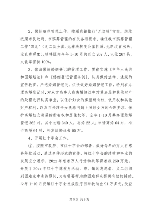 乡镇社会事务办工作总结.docx