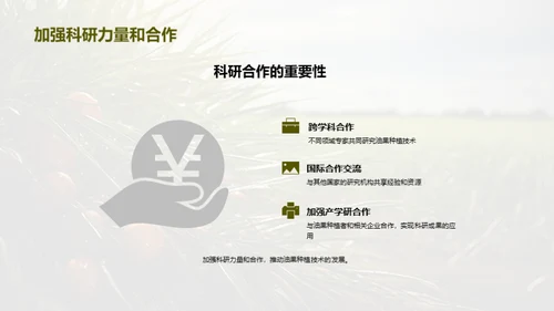 引领油果产业新篇章