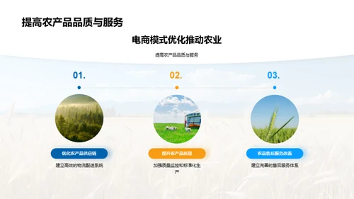 电商助力农业新篇章