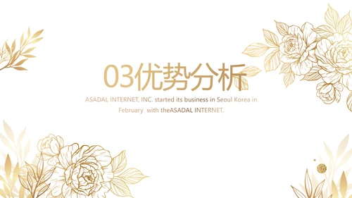 公司品牌营销策划方案工作总结PPT