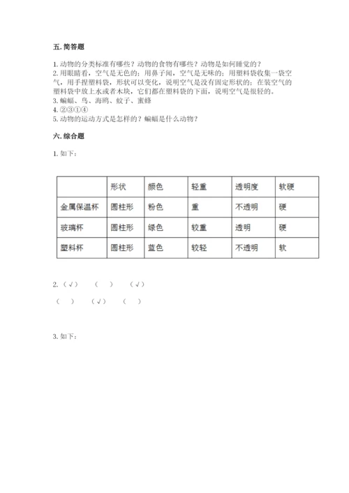 教科版一年级下册科学期末测试卷附参考答案【轻巧夺冠】.docx