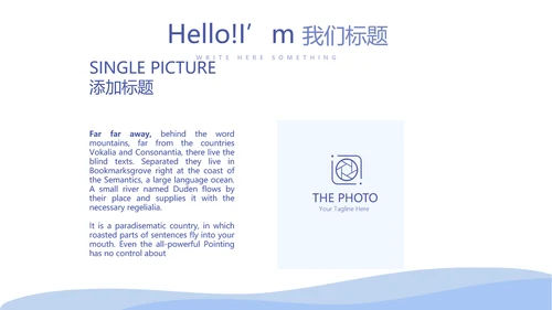 病毒有哪些动态PPT