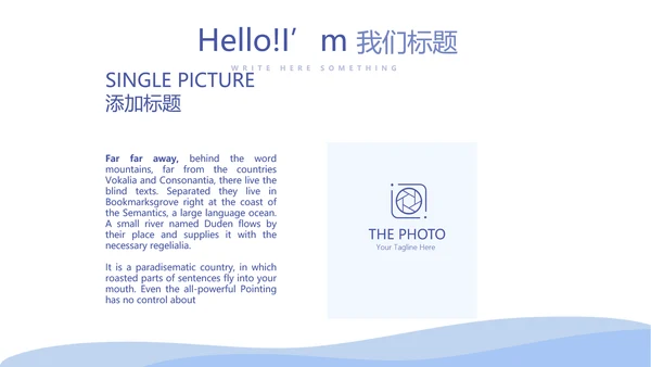 病毒有哪些动态PPT
