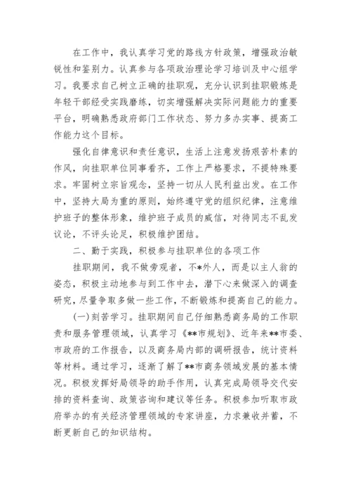 挂职锻炼总结.docx