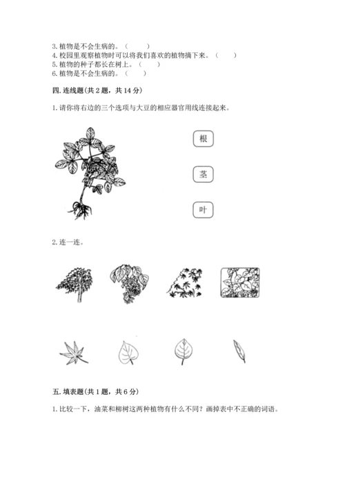 教科版科学一年级上册第一单元《植物》测试卷附答案（a卷）.docx