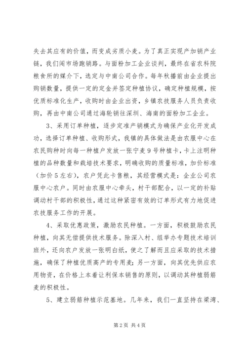 发展弱筋麦产业促进农业增收增效 (4).docx