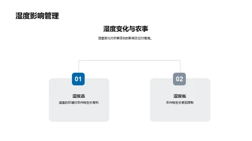 小暑节气农事指南