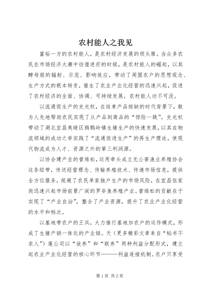 农村能人之我见.docx