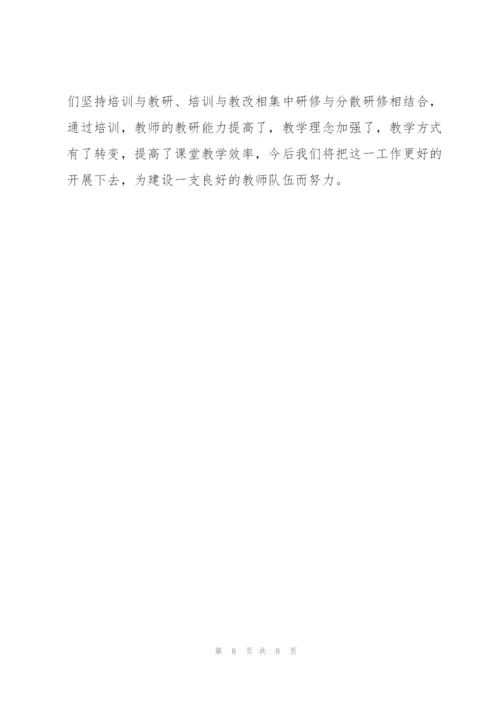 新教师个人培训年度总结.docx