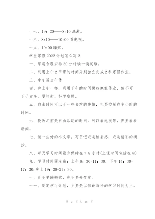 学生寒假2022计划怎么写10篇.docx