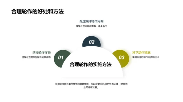 豆类种植与绿色未来