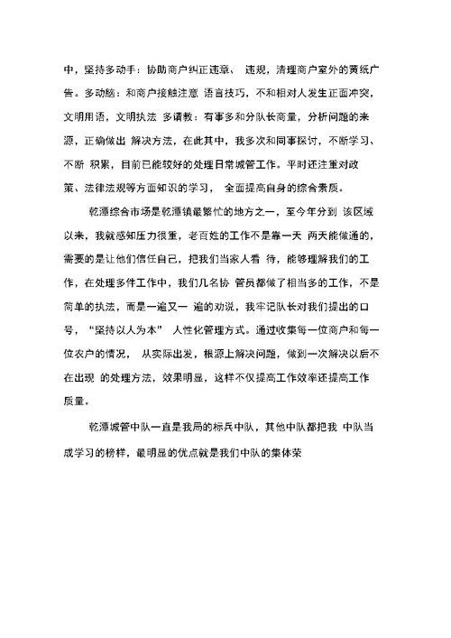 城管个人XX工作总结