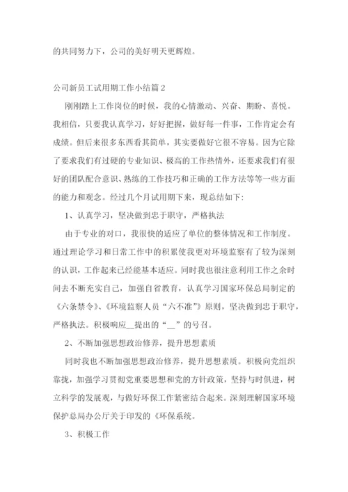 公司新员工试用期工作小结.docx