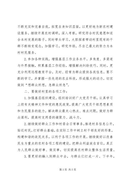 村主任助理上半年工作总结及下半年工作计划 (2).docx