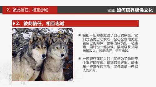 狼性文化通用PPT模板