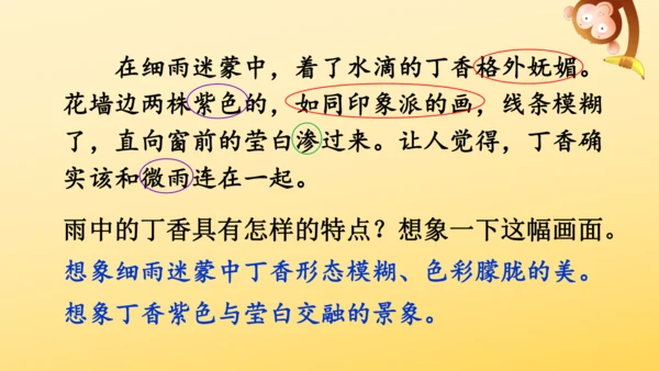 2 丁香结  课件