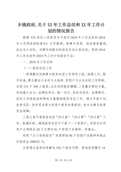 乡镇政府,关于某年工作总结和某年工作计划的情况报告.docx