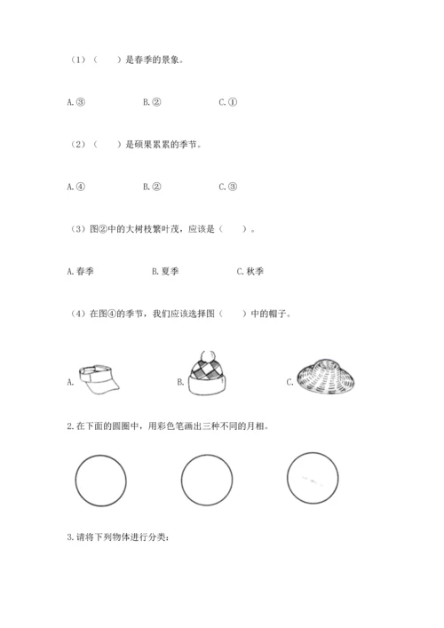 教科版科学二年级上册《期末测试卷》含完整答案（网校专用）.docx