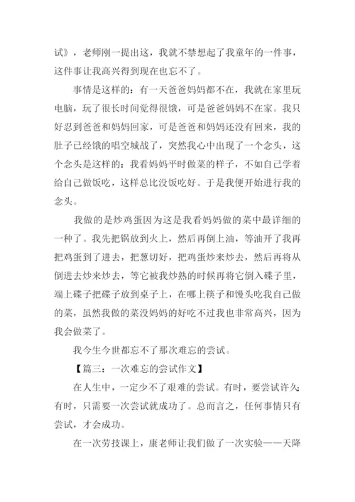 一次难忘的尝试作文300字.docx