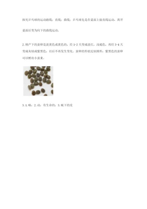 教科版科学三年级下册 期末测试卷精品（名师推荐）.docx