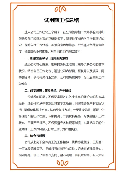 试用期工作总结