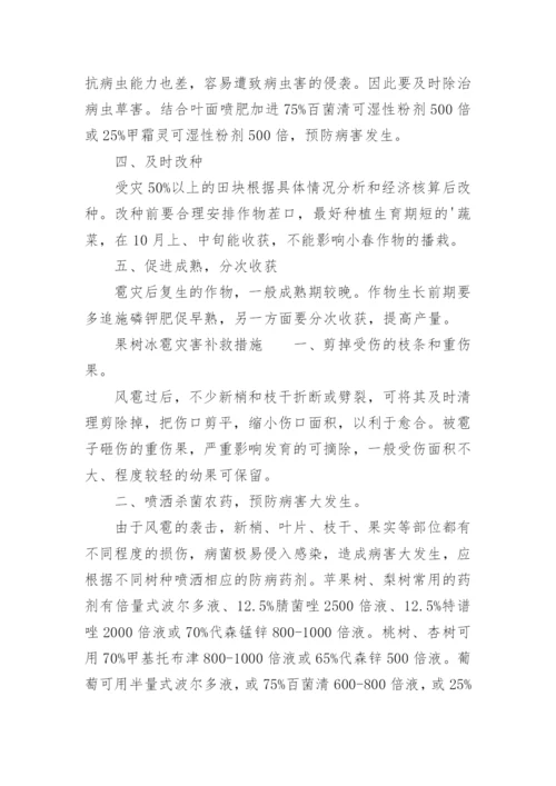 冰雹灾害补救措施.docx