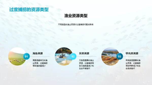 拯救海洋渔业