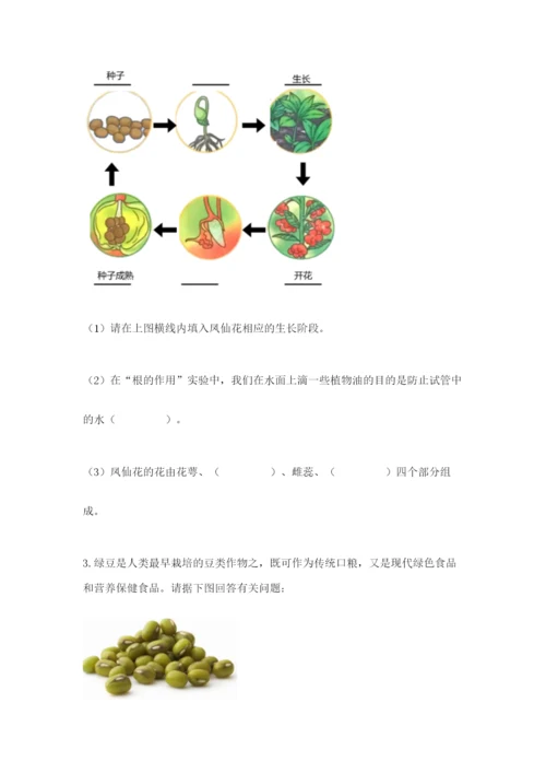 科学四年级下册第一单元植物的生长变化测试卷（基础题）.docx