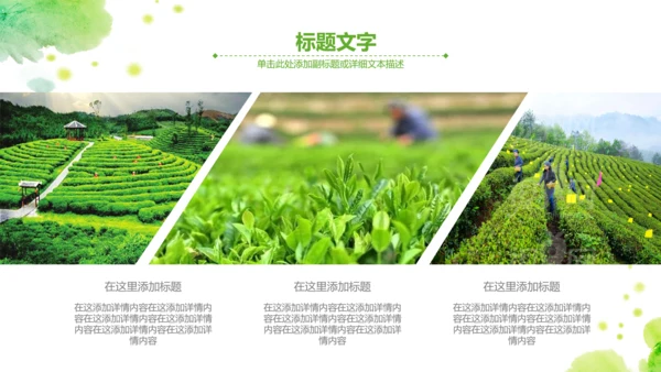 绿茶红茶茶叶茶厂茶文化茶道春茶PPT模板