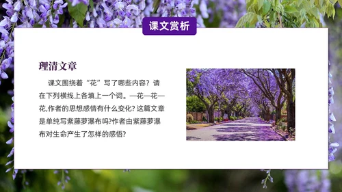 实拍风紫藤萝瀑布七年级语文课件PPT模板