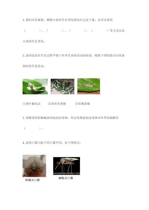 教科版科学三年级下册 期末测试卷精品【达标题】.docx