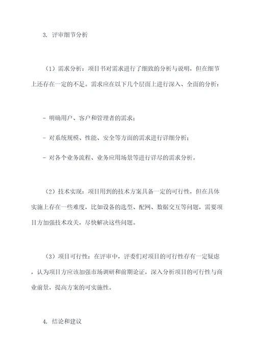 项目书评审报告模板