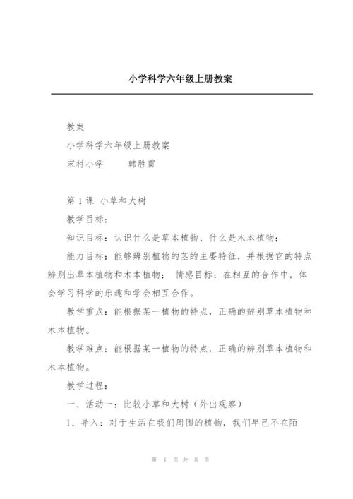 小学科学六年级上册教案.docx