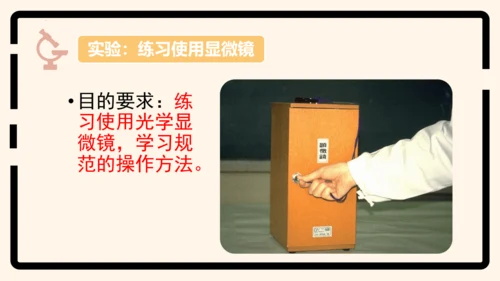 2.1.1练习使用显微镜课件2023--2024学年人教版生物七年级上册(共32张PPT)