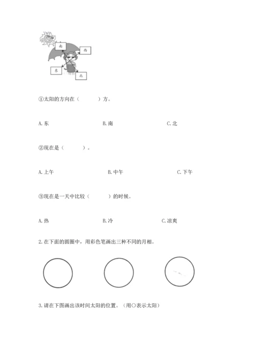 教科版二年级上册科学期末测试卷精品【能力提升】.docx