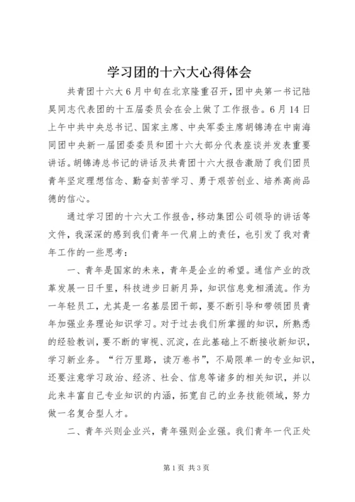 学习团的十六大心得体会 (5).docx