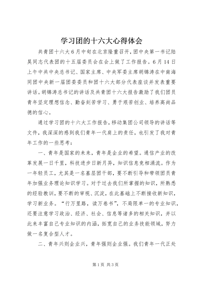 学习团的十六大心得体会 (5).docx