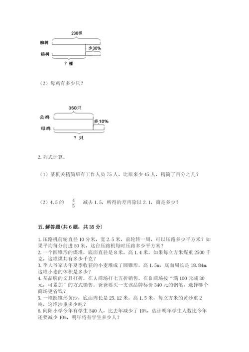 苏教版六年级下册数学期中测试卷【b卷】.docx