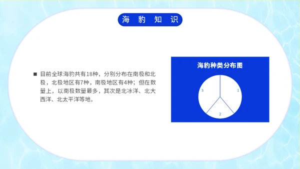 国际海豹日海狮海象通用PPT模板