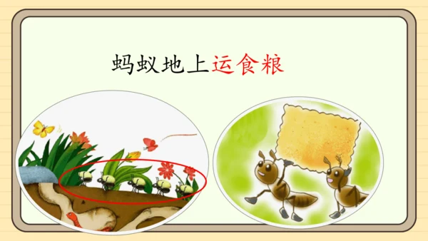 识字5 动物儿歌（课件）