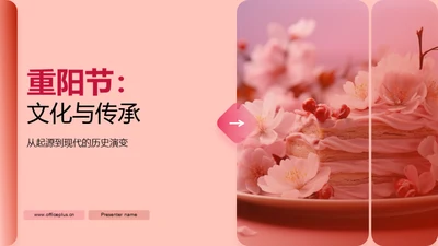 重阳节：文化与传承